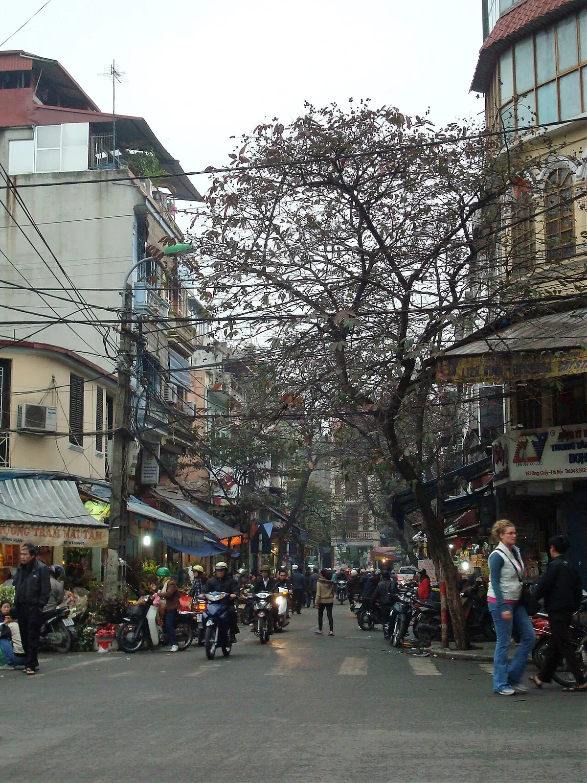 Old Quarter 36 Streets