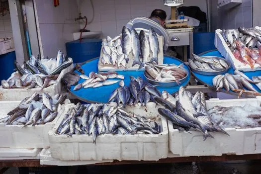 Dammam Fish Market