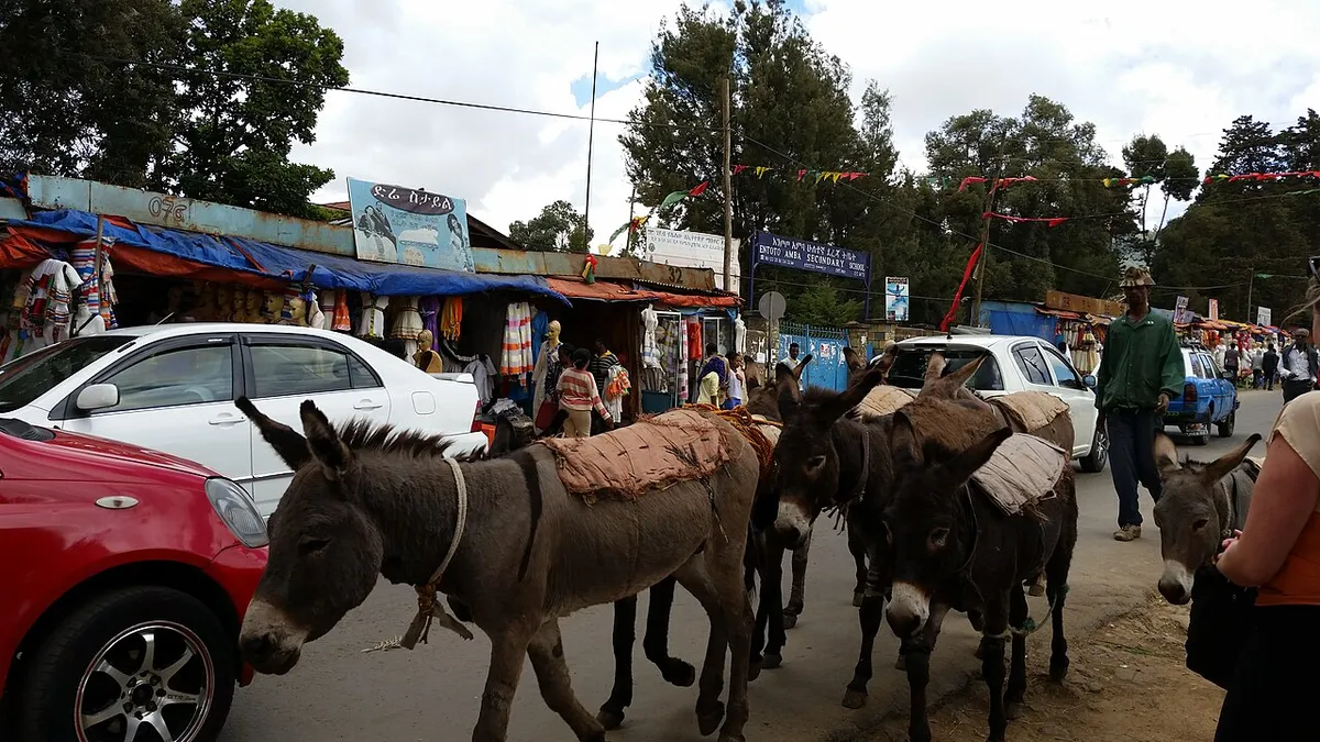 Shiro Meda Market