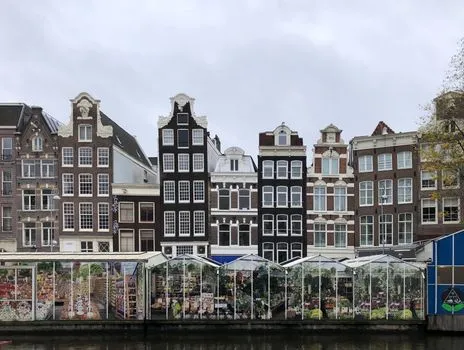 Bloemenmarkt and the tulip trade