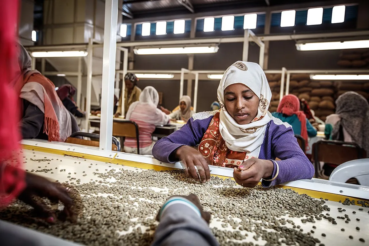Ethiopian coffee