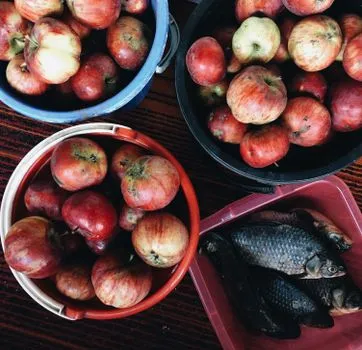 Mina Zayed Fish, Fruit and Carpet Markets