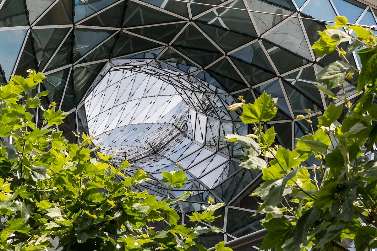 Zeil