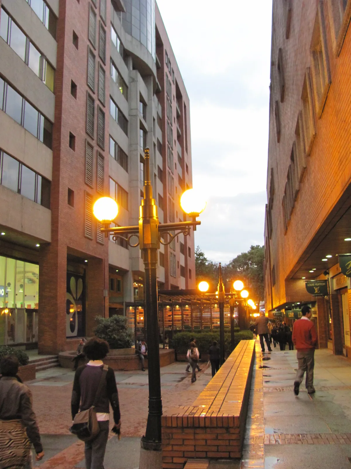 Zona T and Andino, Zona Rosa