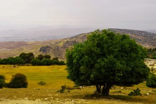 Jordan River Foundation and Wild Jordan